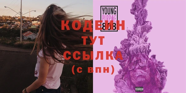 2c-b Надым