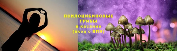 2c-b Навашино