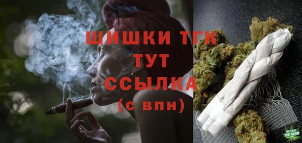 индика Нея