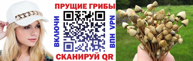 Галлюциногенные грибы мухоморы  Агрыз 