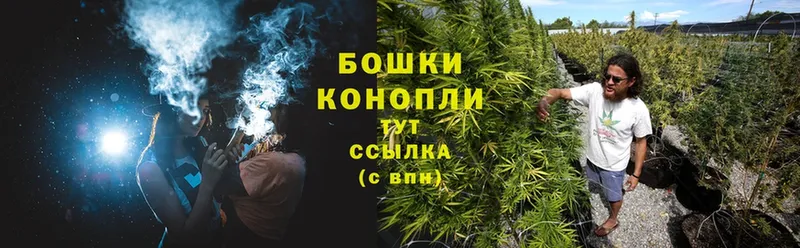 наркотики  Агрыз  Канабис OG Kush 